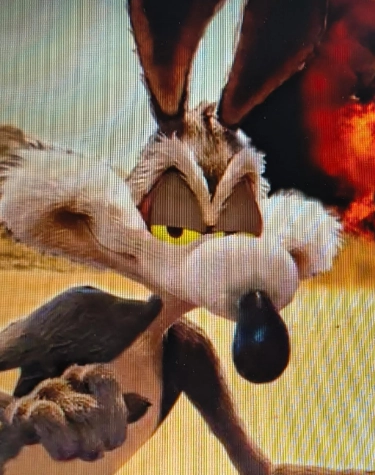 Coyote vs. Acme